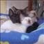 twistnshout