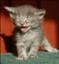 Juliette-